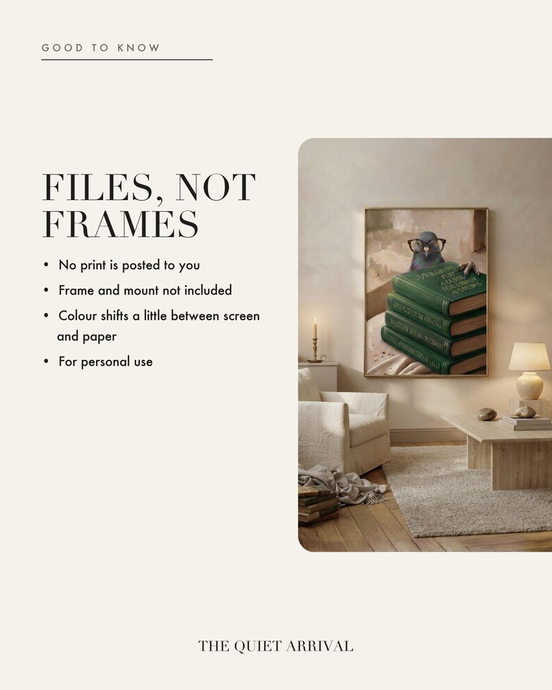 Detail insert card showing the Afraid to Fly? print framed on a warm plaster wall