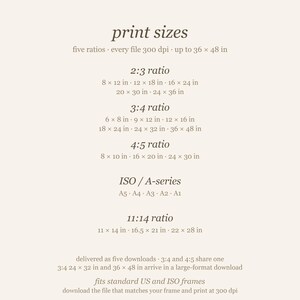 Print size chart: five ratios (2:3, 3:4, 4:5, ISO A-series A5 to A1, and 11:14), sizes up to 36 x 48 in. Five downloads; 3:4 and 4:5 share one, and 3:4 24x32 and 36x48 arrive in a large-format download.