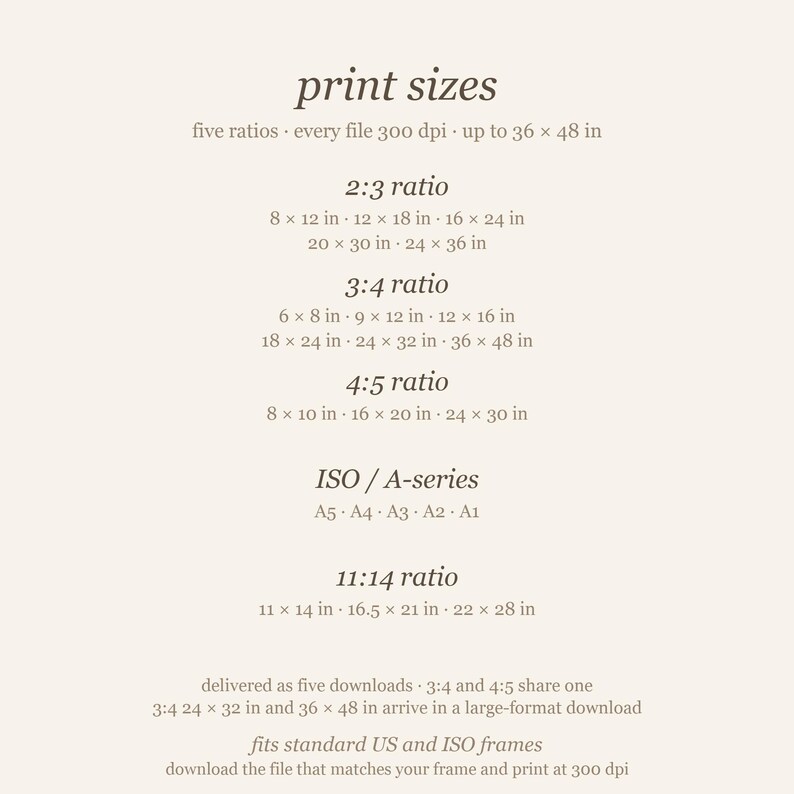 Print size chart: five ratios (2:3, 3:4, 4:5, ISO A-series A5 to A1, and 11:14), sizes up to 36 x 48 in. Five downloads; 3:4 and 4:5 share one, and 3:4 24x32 and 36x48 arrive in a large-format download.