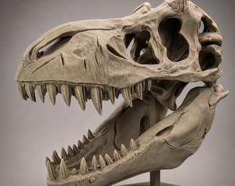 T.REX Skull Replica - Physical Item | 3D Printed Dinosaur Fossil Display Piece
