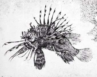 LIONFISH (Mino Kasago) - GYOTAKU print - traditional Japanese fish art by Dwight Hwang