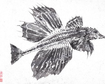 Dragon Fish or Sailfin Poacher (Hakkaku) - GYOTAKU print - traditional Japanese fish art by Dwight Hwang