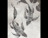 Pair of Japanese Butterfly Koi - Gyotaku Giclee Print