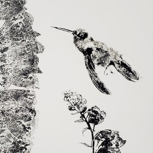 Hummingbird #2 - Bird Nature Print - Gyotaku reproduction - traditional Japanese art by Dwight Hwang