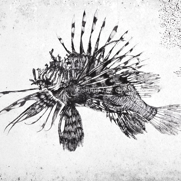 LIONFISH (Mino Kasago) - GYOTAKU print - traditional Japanese fish art by Dwight Hwang