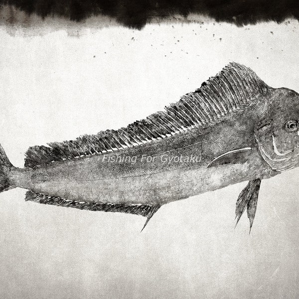 Mahi Mahi, Dorado, Dolphinfish (Shira in Japanese) Gyotaku print - traditional Japanese fish art by Dwight Hwang