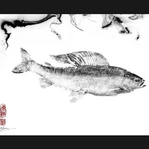 Puede incluir: Dibujo en tinta negra y blanca de un pez con un sello rojo y una firma en la esquina inferior izquierda.