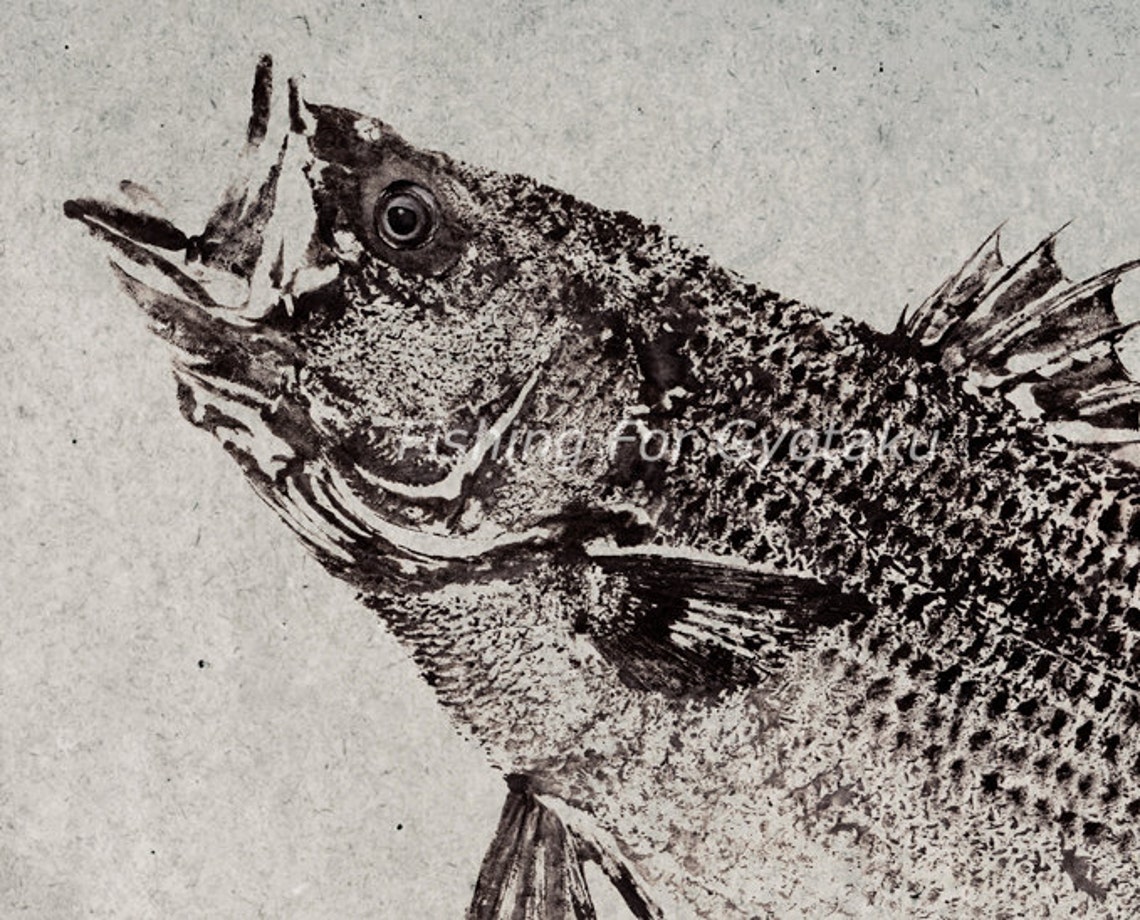 STRIPED BASS reproduction GYOTAKU traditional Japanese fish Etsy