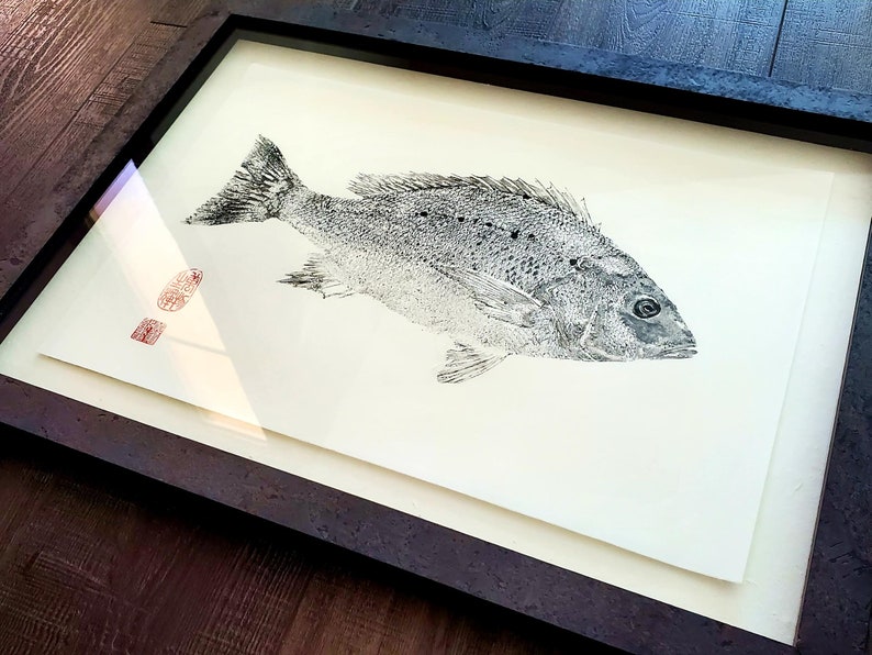 COELACANTH 'Living Fossil' Gyotaku print traditional Japanese fish art by Dwight Hwang image 5