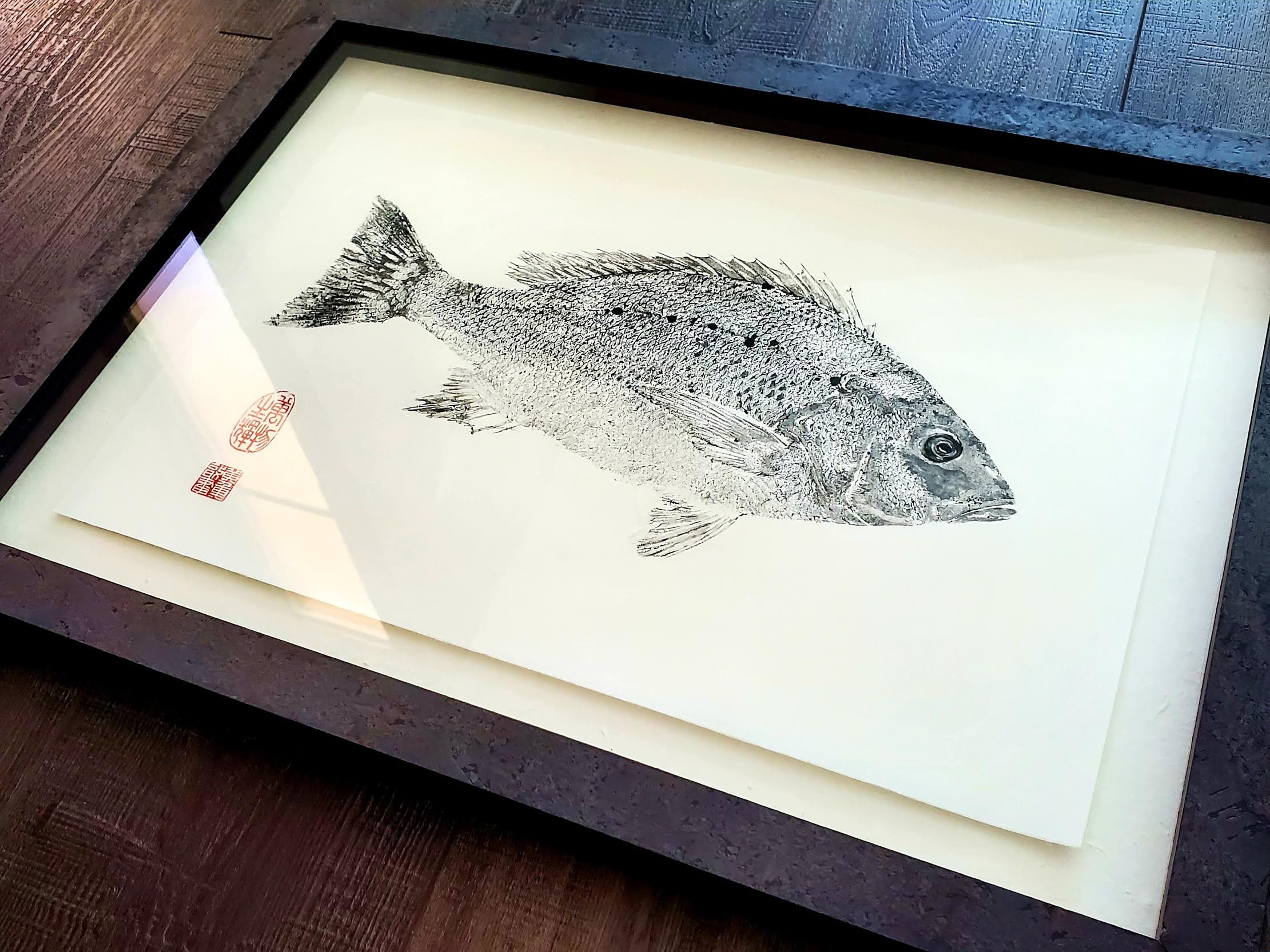 日本画「シーラカンス」 シーラカンス「生きた化石」魚拓 - ドワイト・ファンによる日本