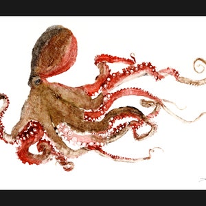 Octopus Gyotaku Brown Red Color - reproduction print - traditional fish art by Dwight Hwang