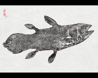 シーラカンス「生きた化石」魚拓 - ドワイト・ファンによる日本の伝統