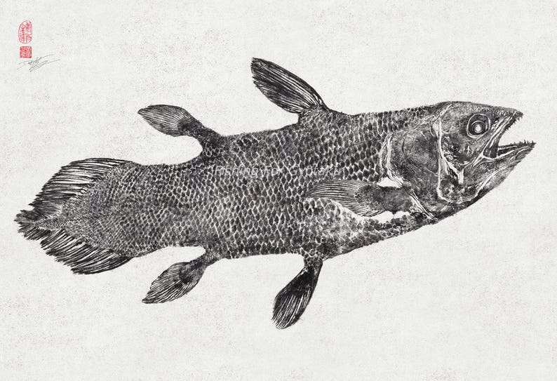 COELACANTH 'Living Fossil' Gyotaku print traditional Japanese fish art by Dwight Hwang image 2