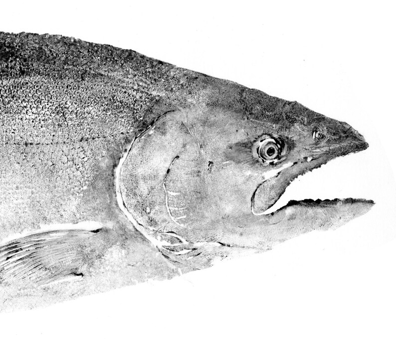 Chinook King Salmon Gyotaku Traditional Japanese Fish Art by Etsy