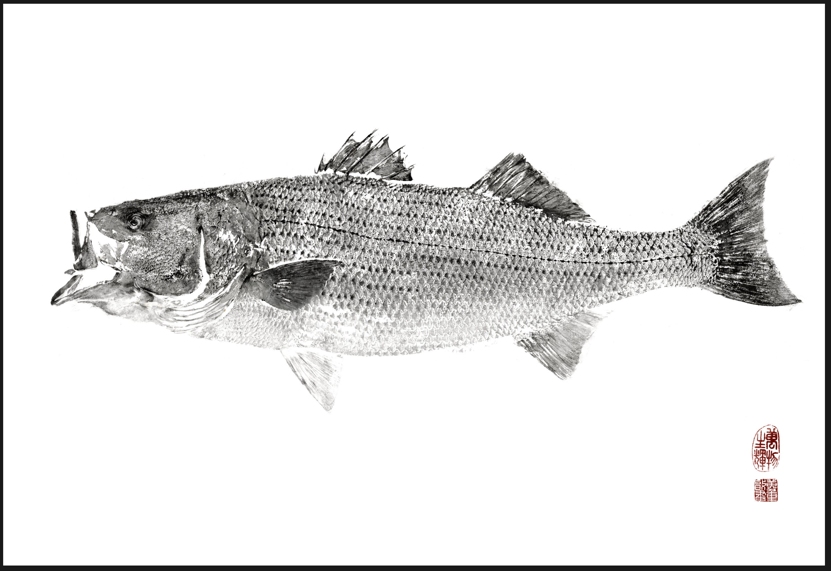 Striped Bass Gyotaku Print Traditional Japanese Fish Art by Dwight Hwang 