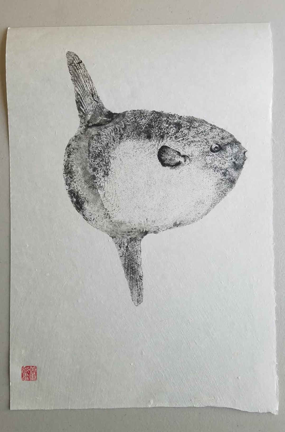 Ocean Sunfish or Mola Mola "manbo" - Reproduction on Handmade Washi ...