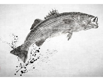 Striped Bass in 3/4 perspective with Ink Splash Gyotaku print - traditional Japanese fish art by Dwight Hwang