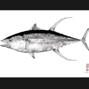 May include: A grayscale illustration of a tuna fish, showcasing detailed shading and textures. The fish is depicted in a side profile, with fins and tail clearly visible. A small red stamp is in the lower right corner.