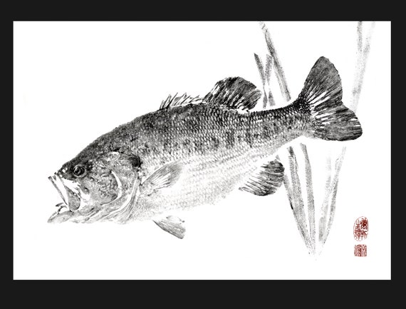 ブラックバス / オオマスバスと雑草 魚拓 - ドワイト・ファンによる  