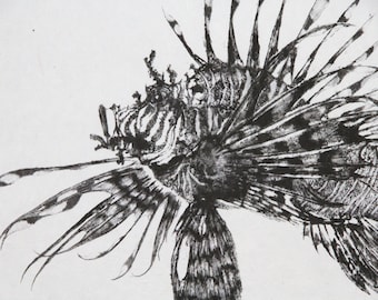 ミノカサゴの水彩画アートプリント：海の魚のイラストの壁飾り - Etsy 日本