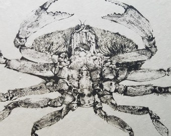Dungeness crab - Underside - reproduction gyotaku print - traditional Japanese fish art by Dwight Hwang