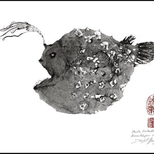 Anglerfish - Pacific Football Fish - reproduction GYOTAKU print - traditional Japanese fish art by Dwight Hwang