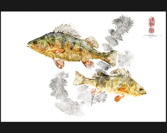 ☆リアル金魚☆芸術作品☆桐箱二重☆日本製 現代アート