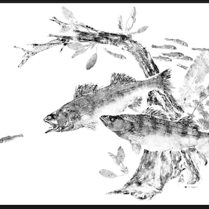 Pair of WALLEYE ambushing Minnows - Gyotaku reproduction print - traditional Japanese fish art by Dwight Hwang