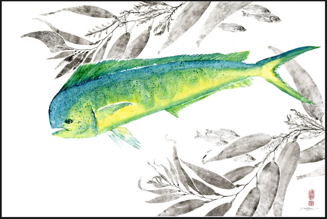 Mahi Mahi, Dorado, sneaking Past Dorado Reproduction Gyotaku Print