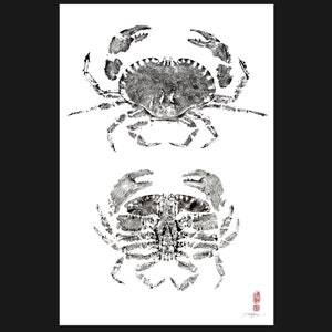 European Brown Crab - Crabe - Gyotaku print on art rag paper - traditional fish art by Dwight Hwang