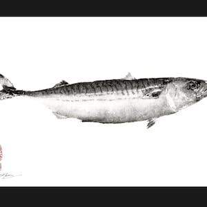 Mackerel (Saba) Gyotaku print - traditional Japanese fish art by Dwight Hwang