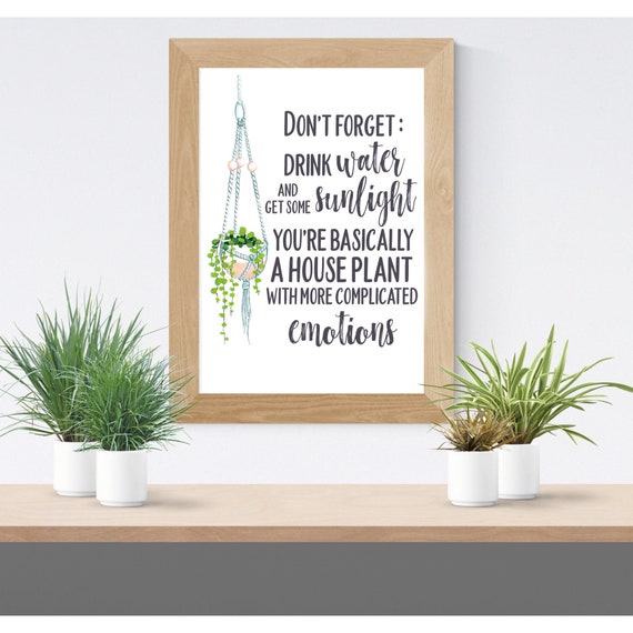 House Plant Funny Quote Water Reminder Quote Print Plant