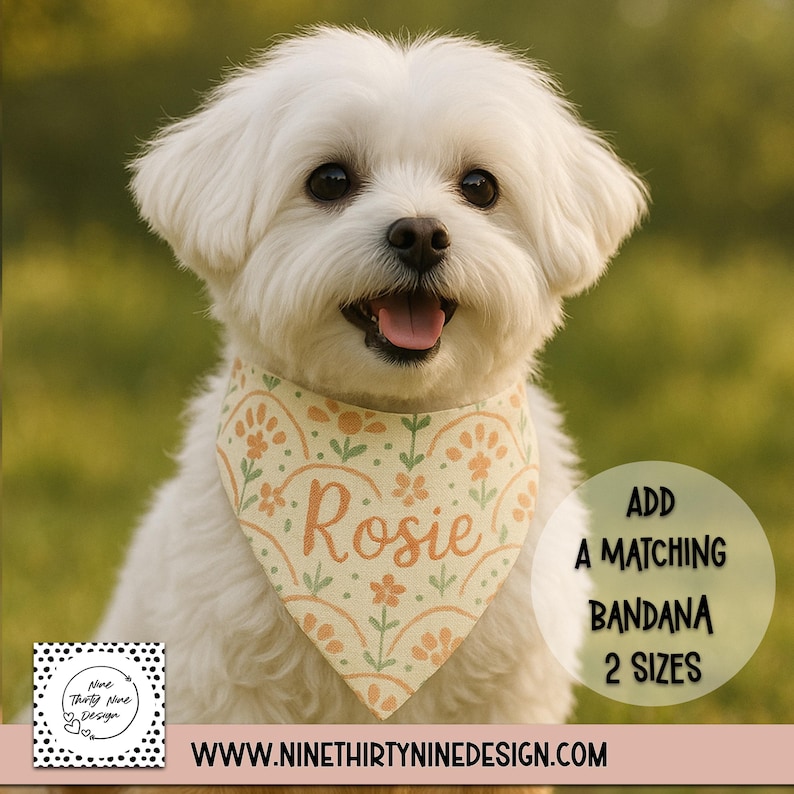 a small white dog wearing a bandana