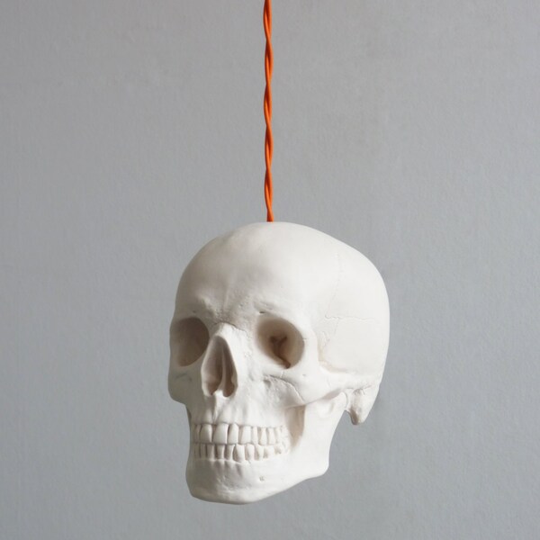 Skull Pendant Light