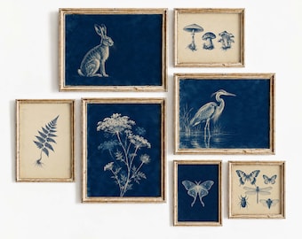 May include: A gallery wall set of seven framed prints featuring nature illustrations in blue and cream. The collection includes a rabbit, mushrooms, a fern, wildflowers, a heron, a moth, and various insects, all encased in light wood frames.