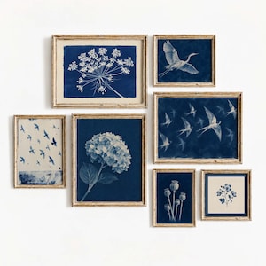 Op de afbeelding: Een galerijwandset van zeven ingelijste prints met blauw-witte botanische en vogelafbeeldingen. De collectie bevat illustraties van een bloemhoofd, een vliegende reiger, een zwerm vogels, een hortensia, papaverbollen en een kleine bloementak.
