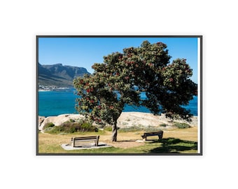 Póster de la costa sudafricana con marco de madera / Arte mural de paisaje playero / Árbol Pohutukawa
