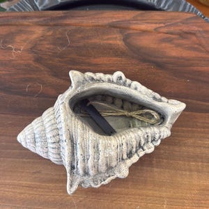 Può includere: Un vaso da parete in ceramica beige a forma di conchiglia con una finitura testurizzata e usurata. L'interno cavo presenta una staffa in metallo grigio scuro e un sottile cappio in corda di juta per appenderlo, con una struttura a spirale.