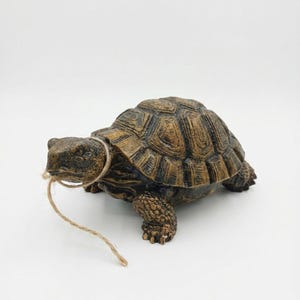 Op de afbeelding: Een gedetailleerd, bruin en tan hars schildpadbeeldje met een getextureerd schild en gedetailleerde poten. Een natuurlijk touw is om de kop van de schildpad geslagen. De figuur staat tegen een effen witte achtergrond.