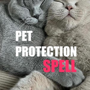May include: Two gray cats are snuggled together, their eyes closed in a peaceful embrace. The text "PET PROTECTION SPELL" is overlaid on the image in white and pink letters. The cats appear to be British Shorthairs.