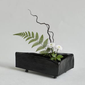 Könnte beinhalten: Eine schwarze, rechteckige Ikebana-Vase mit drei kleinen Füßen, die einen Farnwedel, weiße Blumen und einen dunklen, gebogenen Zweig enthält. Die Vase hat eine strukturierte Oberfläche.
