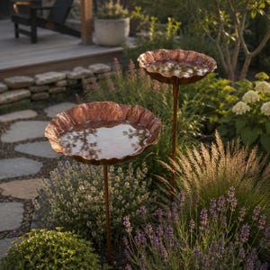 Pu&ograve; includere: Due vaschette per uccelli color rame con bordi smerlati e una consistenza martellata, ciascuna montata su un sottile paletto di metallo. Le vasche circolari poco profonde sono piene d'acqua e riflettono l'ambiente del giardino e il verde.