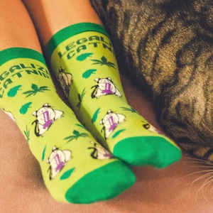 Op de afbeelding: Een paar groene sokken met een witte kat-afbeelding en de tekst "LEGAL CATNIX" erop. De sokken worden gedragen door een persoon met een tabby-kat die ernaast ligt.