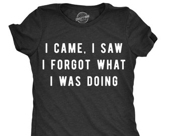 Amnesia Shirt, Sarcastic Shirts Women, Shirts With Funny Sayings, Funny Womens Shirt, Offensive Shirt for Women, I Came I Saw I Forgot