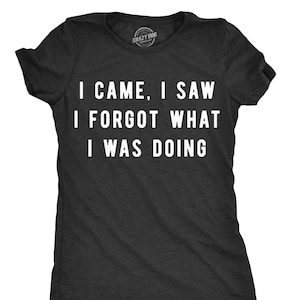 Amnesia Shirt, Sarcastic Shirts Women, Shirts With Funny Sayings, Funny Womens Shirt, Offensive Shirt for Women, I Came I Saw I Forgot