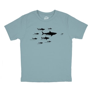 Youth Shark Types Shirt, Shark Tshirts, Shark Hierarchy T Shirt, Funny Youth T Shirt, Great White Shirt, Ocean Lovers, Cool Shirts for Kids