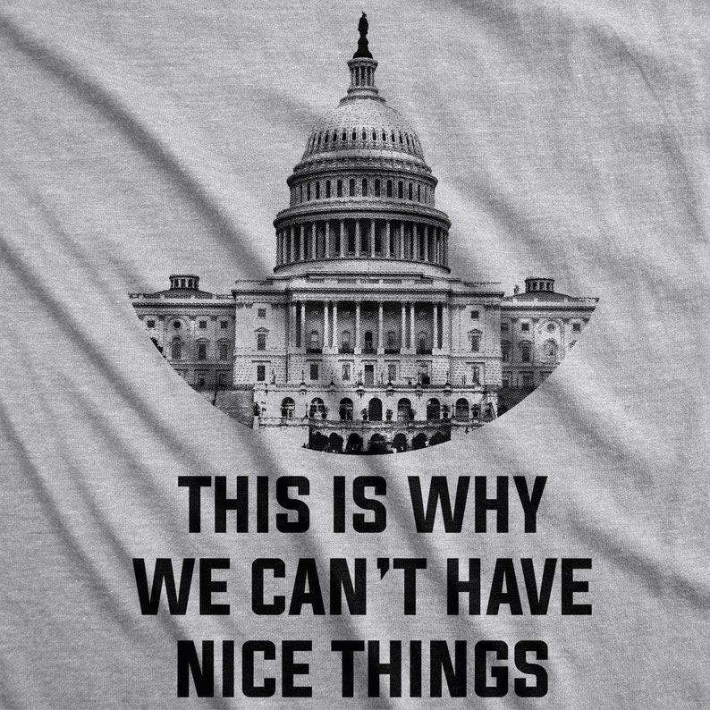 Funny Political T-shirt, This is Why We Cant Have Nice Things - Etsy