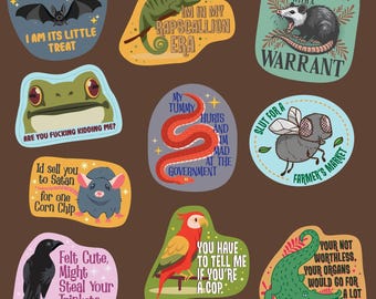Pack d'autocollants animaux fantaisistes : chauves-souris, corbeaux, perroquets rigolos