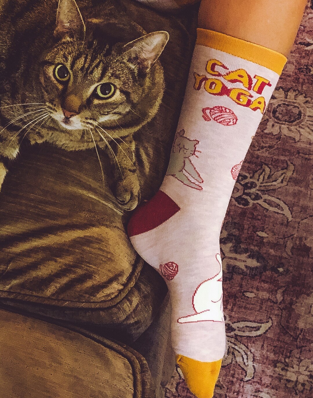 Roits Calzini Gatto Crema Donna Uomo - Calze Regali Gatti Divertenti Fantasia Disegni Colorati Originali Simpatici Accessori Animali
