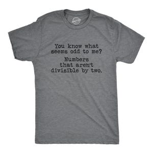 Op de afbeelding: Een grijs gemêleerd T-shirt met korte mouwen en zwarte tekst: You know what seems odd to me? Numbers that aren't divisible by two. Het shirt heeft een ronde hals en een standaard pasvorm, gemaakt van een zachte, gemêleerde stof.